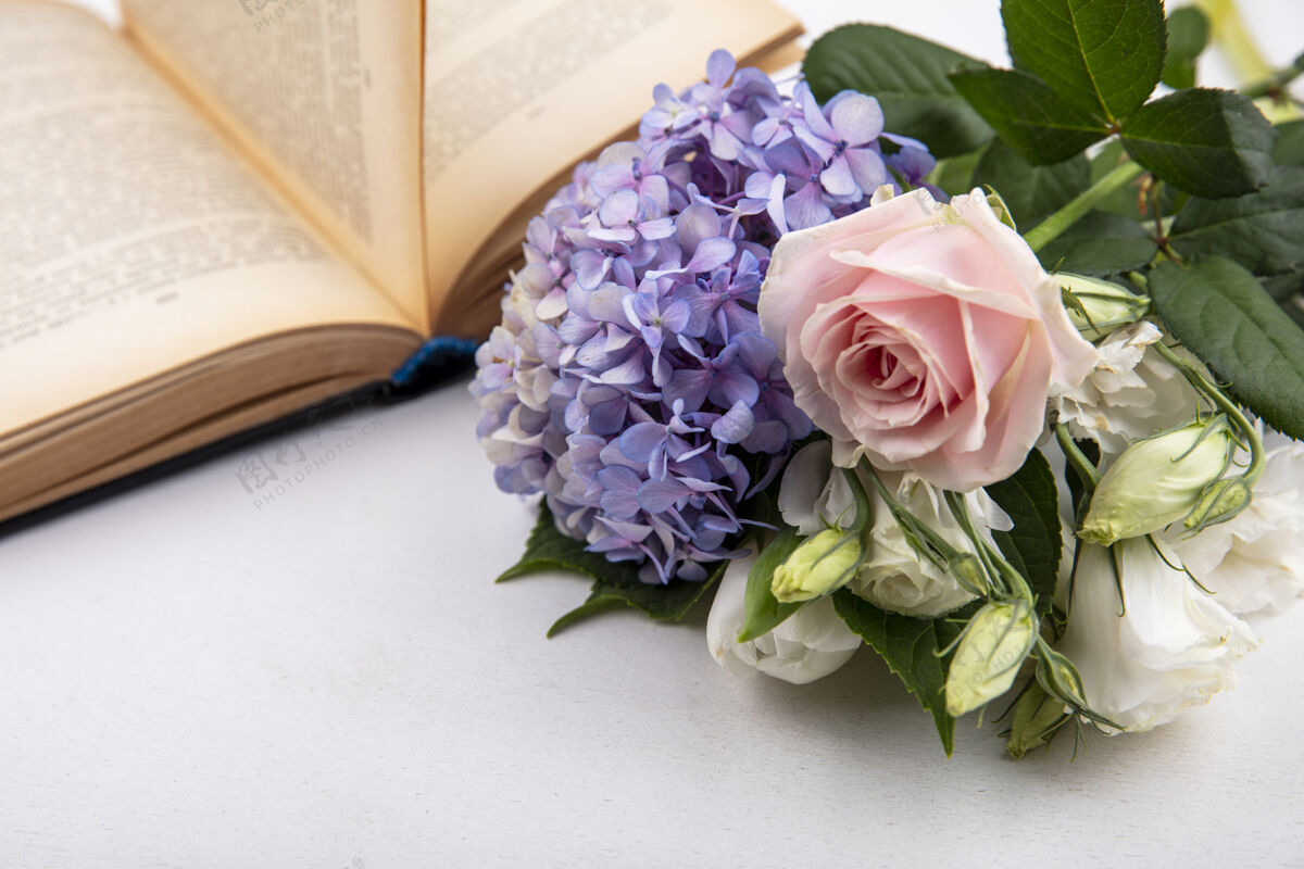 玫瑰顶视图新鲜和美妙的花朵像玫瑰紫丁香叶子上的白色背景白色像紫丁香
