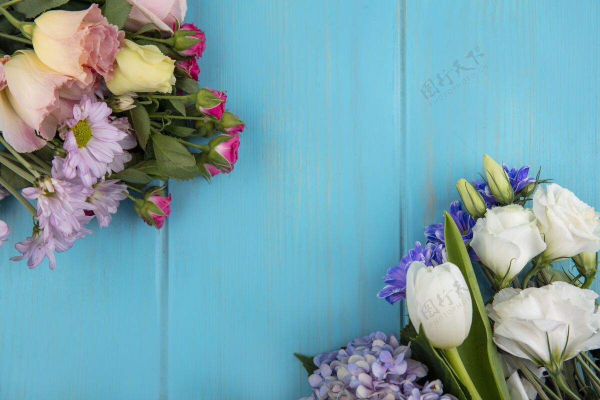 顶蓝色背景上的花朵俯视图蓝色花风景