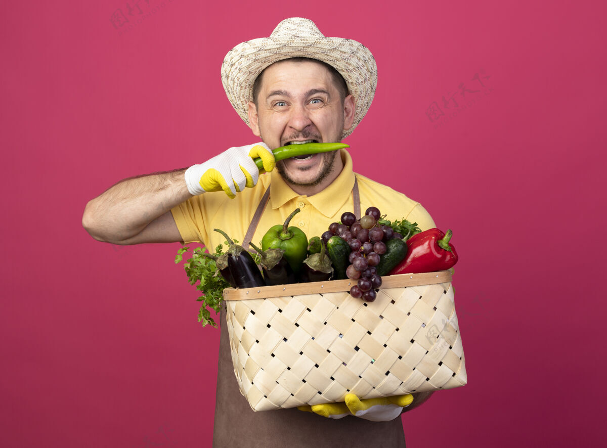 年轻年轻的园丁穿着连体衣 戴着帽子 戴着工作手套 手里拿着装满蔬菜的箱子 咬着青椒站在粉色的墙上咬制服帽子