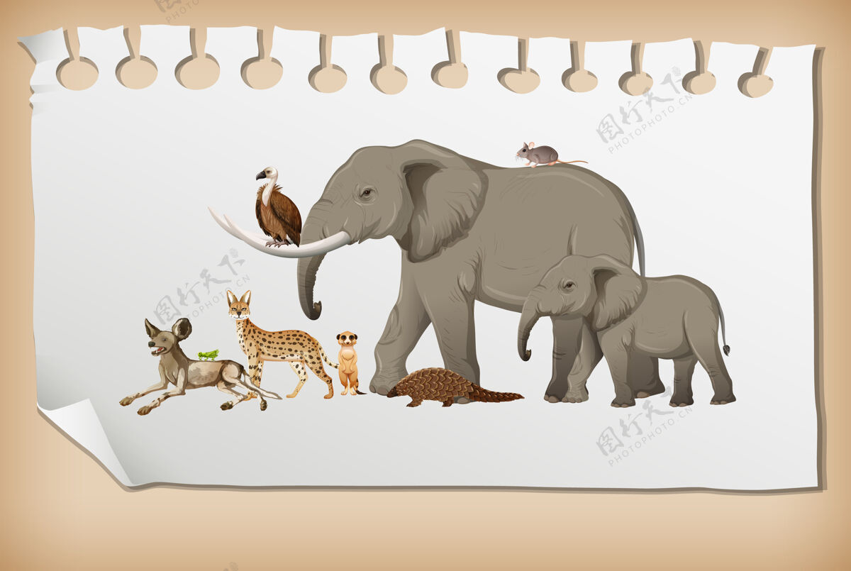 户外一群非洲野生动物在纸上稀树草原非洲捕食者