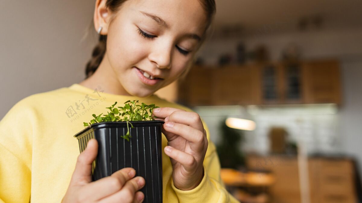 栽培小女孩在家里用小植物农业庭院农业