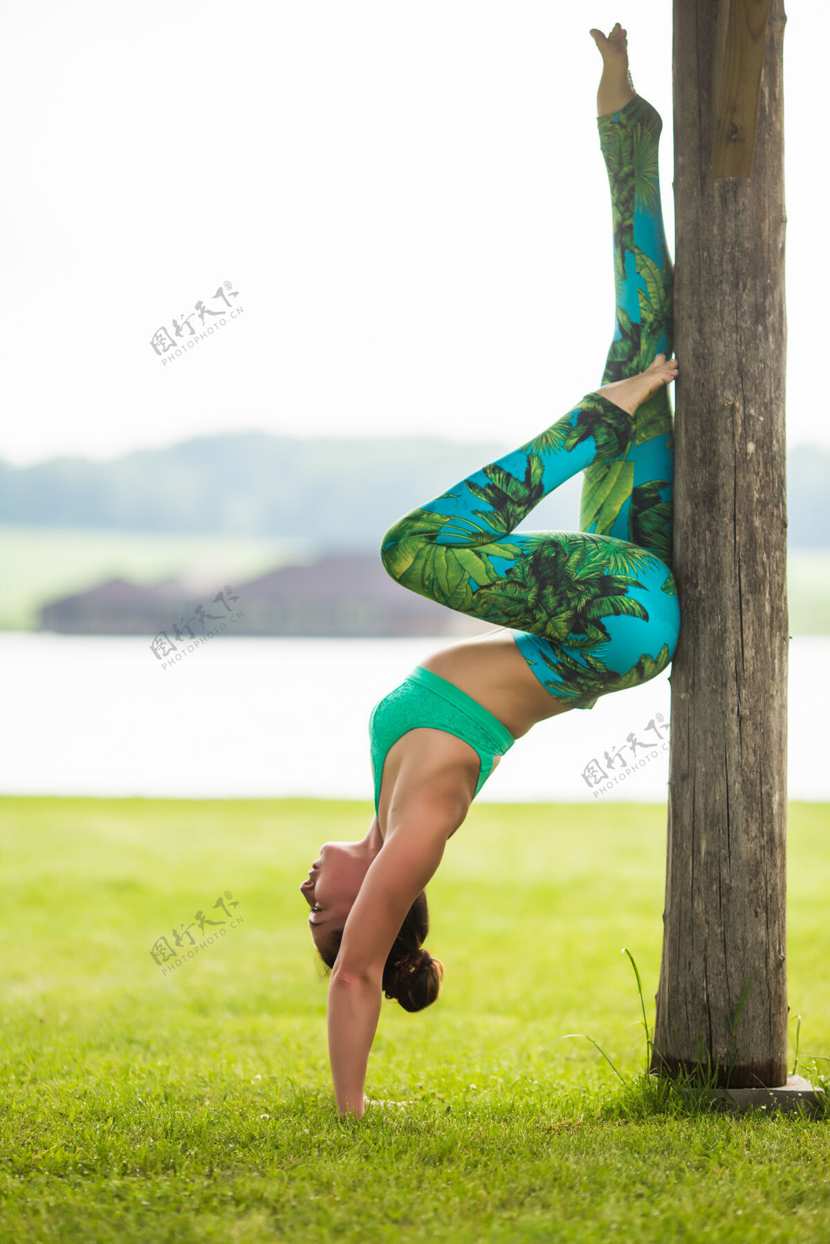 伸展年轻女子在夏日城市公园做瑜伽练习成人树木夏天