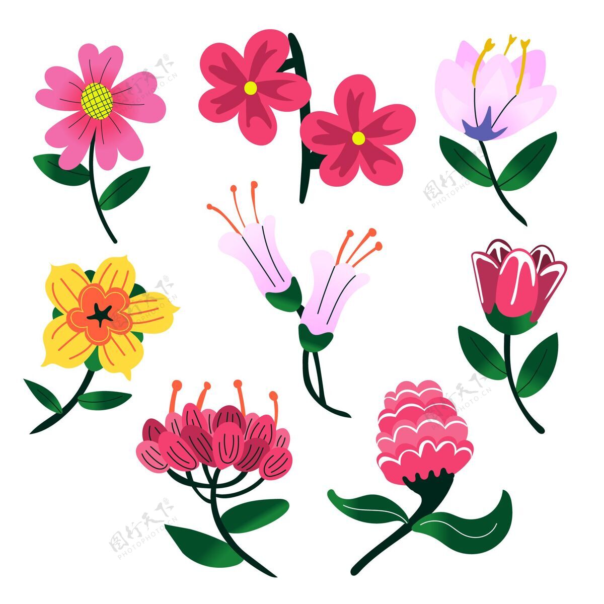 花卉手绘春花系列开花植物季节