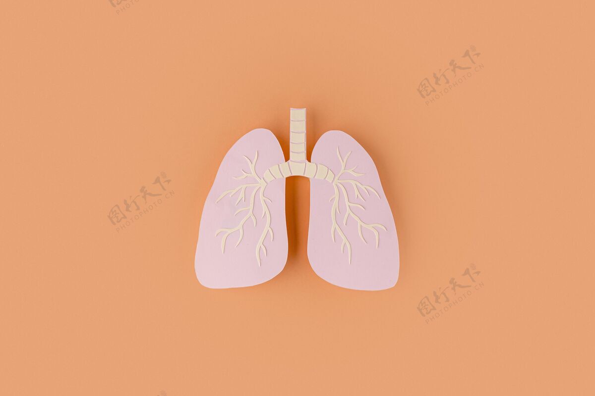 预防纸做的肺被隔离在橘子上检疫疾病症状