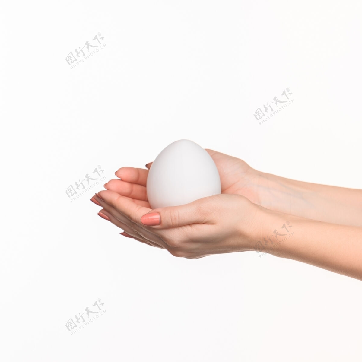 人类女人的手上拿着一个白鸡蛋椭圆形道具手