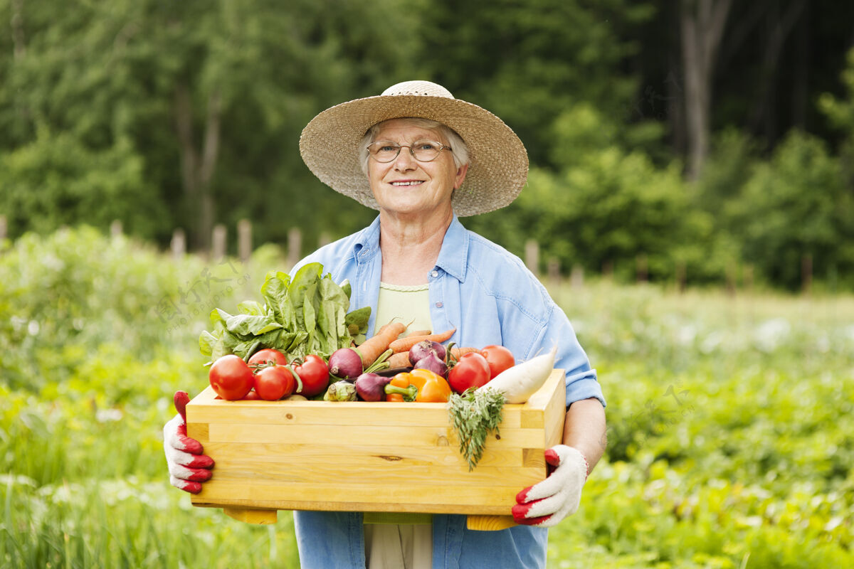 庄稼老妇人拿着蔬菜食物帽子站着