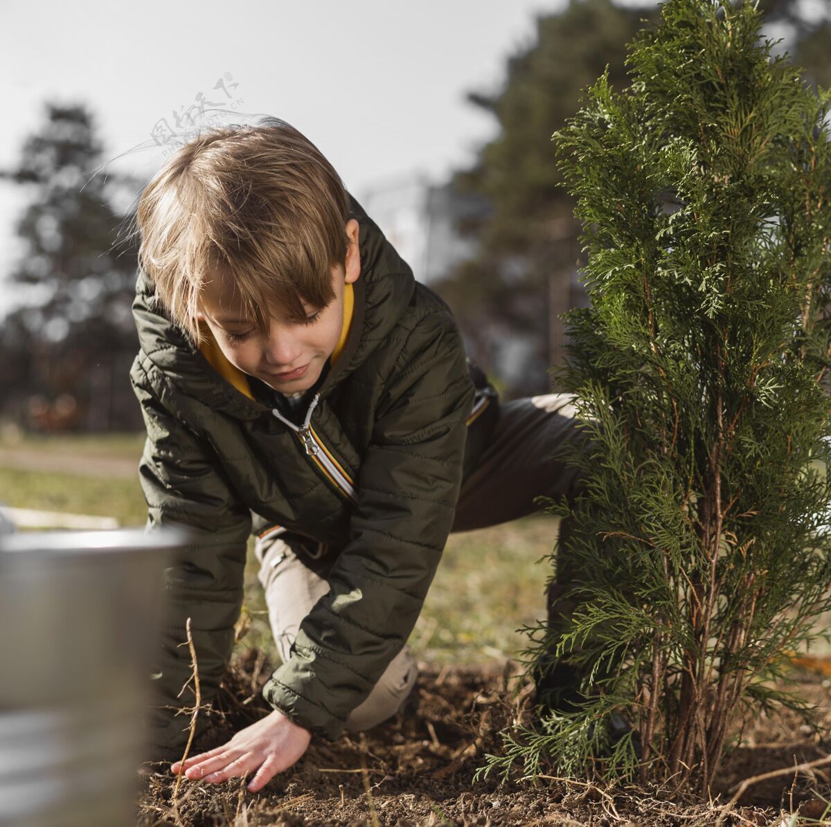 孩子小男孩在户外种树的正面图园艺种植园艺