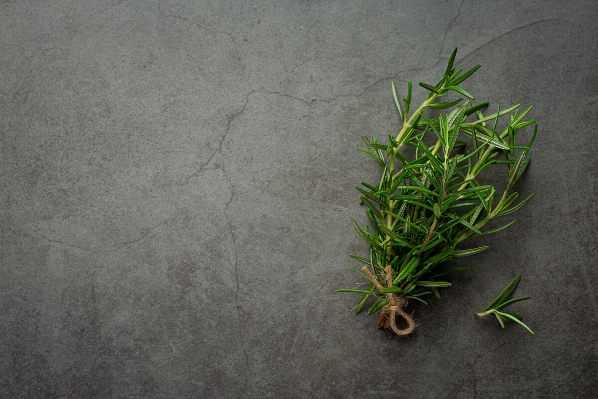 饮食迷迭香植物放在黑暗的地板上草药植物健康