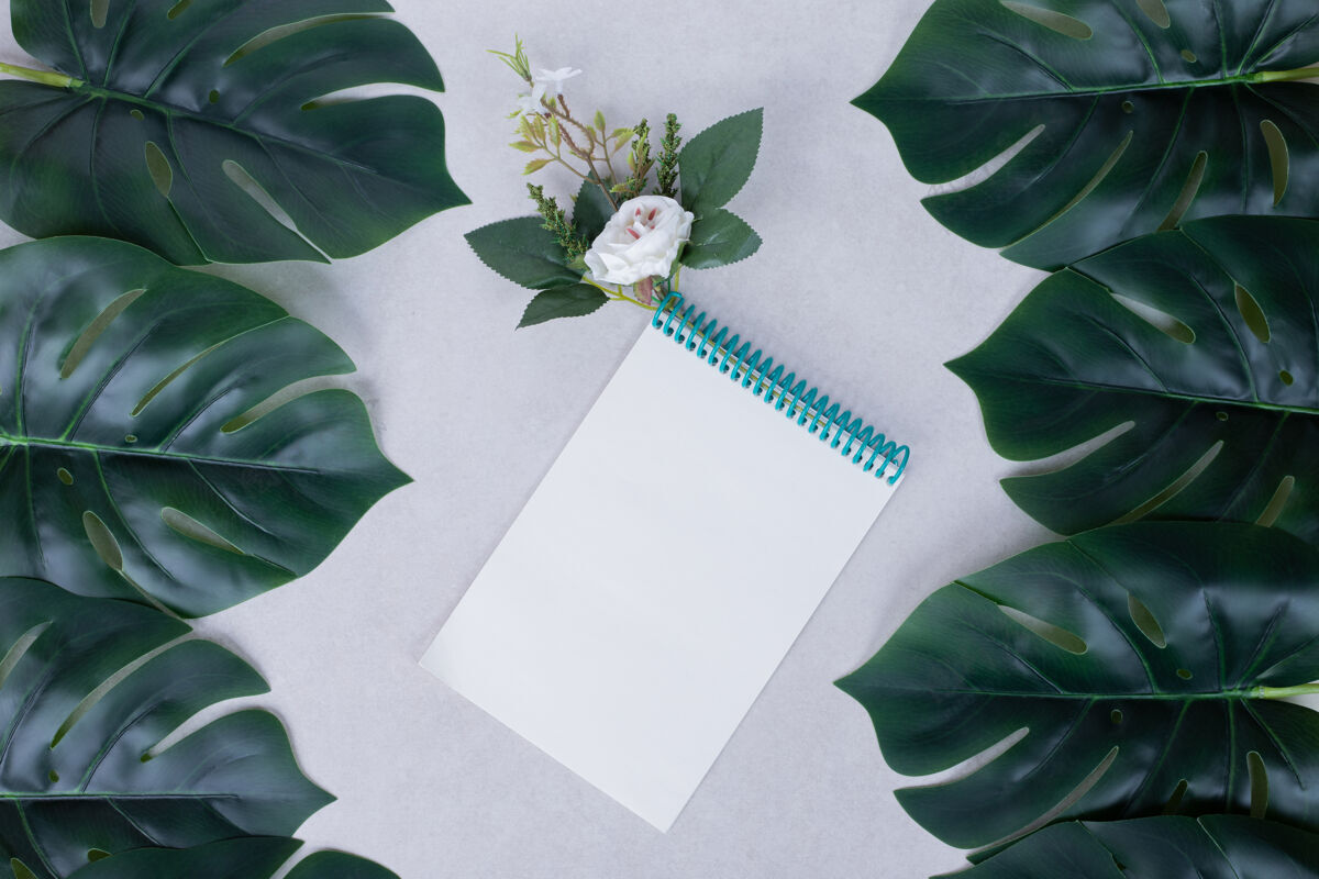 玫瑰人造叶子 笔记本和白色表面的白色花朵笔记本叶子人造的
