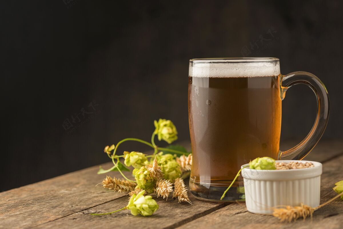视图模拟啤酒与大麦品脱正面图啤酒醉酒液体