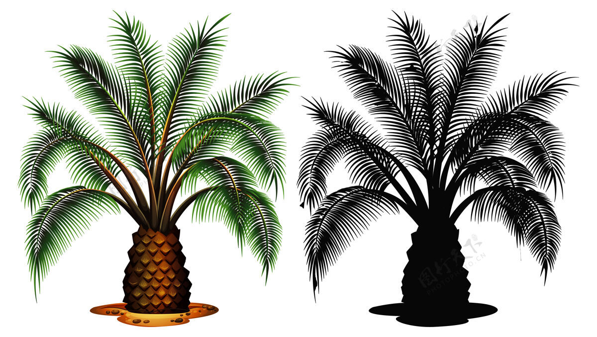 剪影一套棕榈树植物艺术卡通