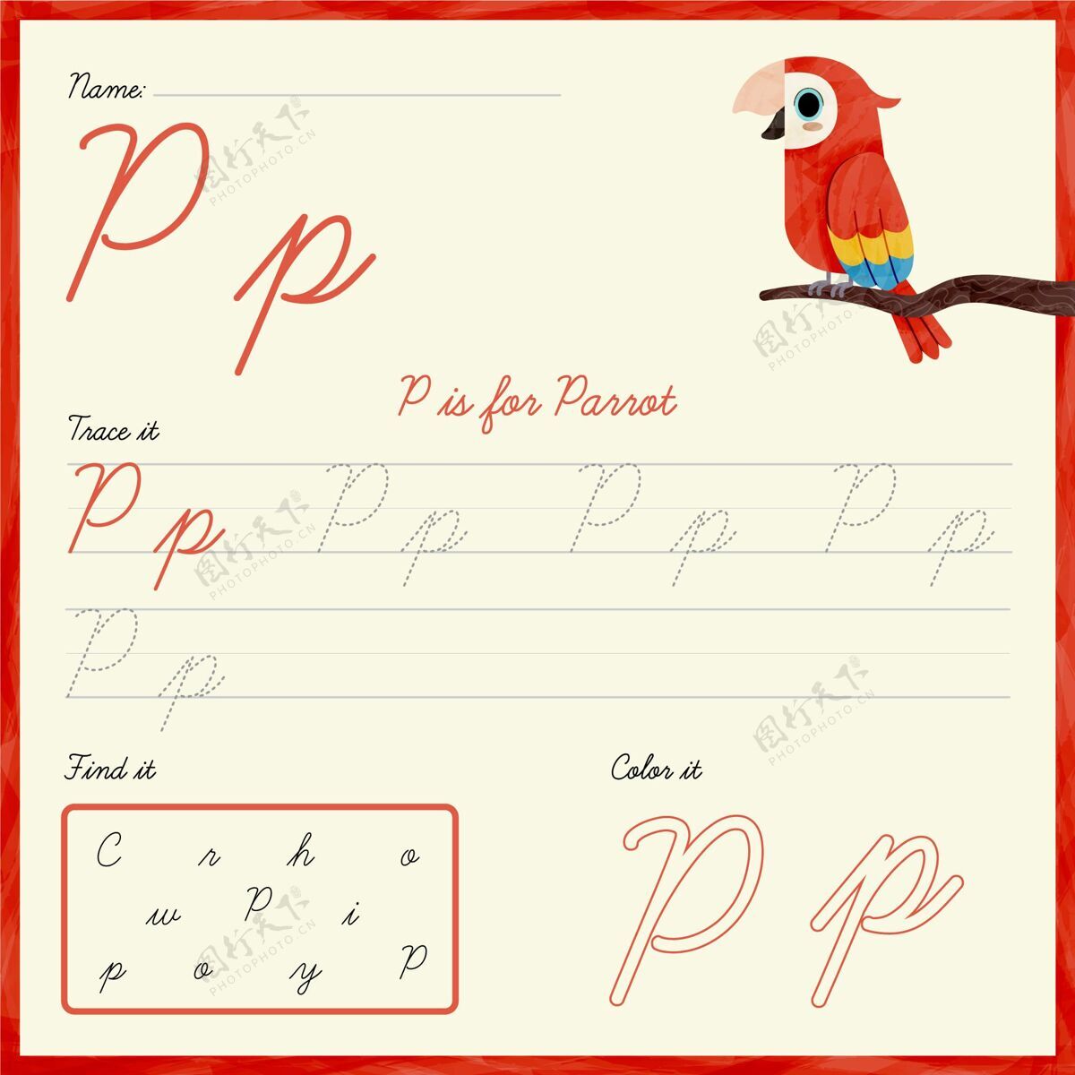 早期教育带鹦鹉的字母p创造力孩子工作表