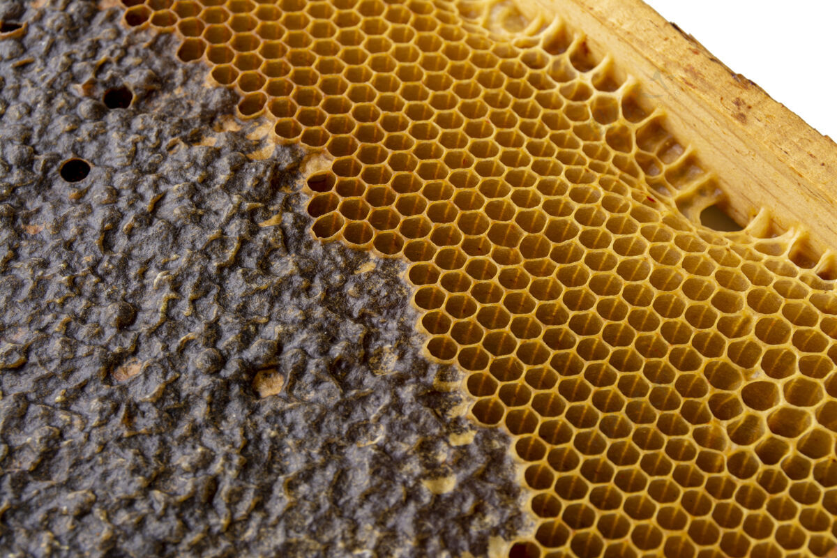 六边形黄色蜂窝状纹理蜂蜜多边形宏
