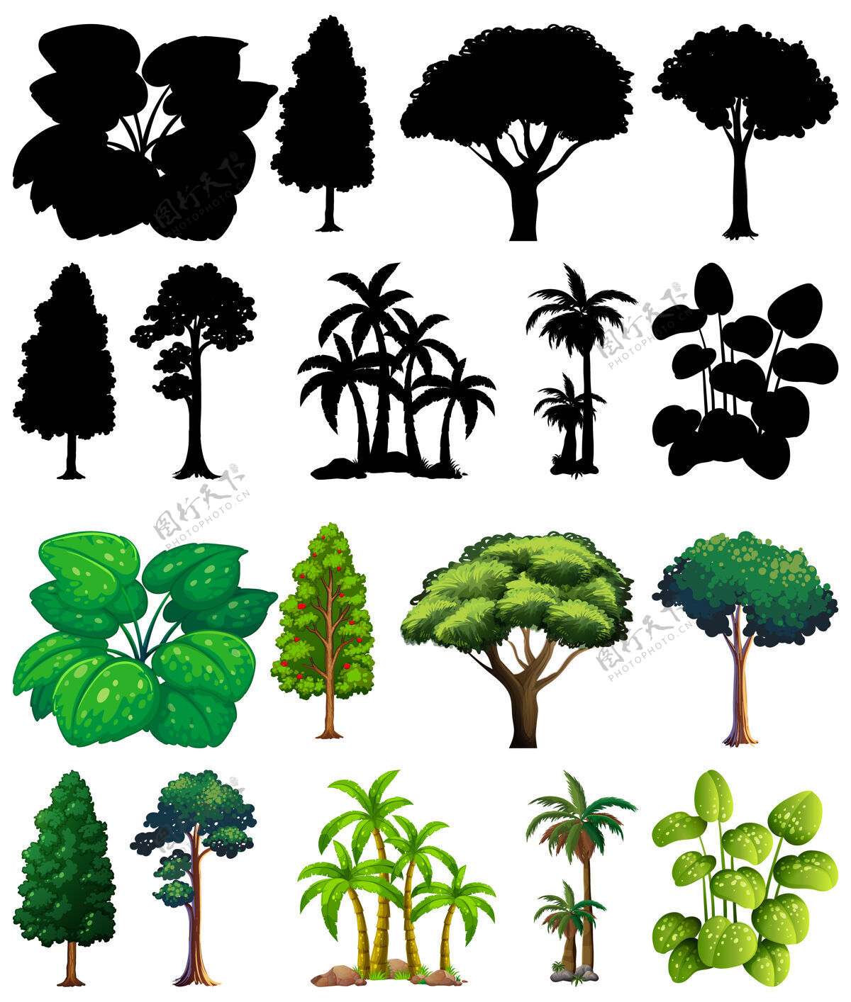 棕榈一套植物和树木的轮廓阴影设置树叶