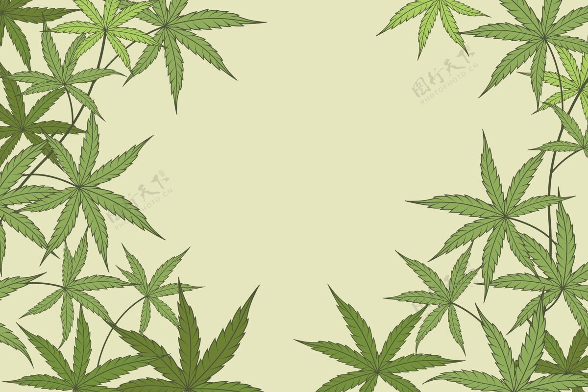 药用背景设计植物保健大麻