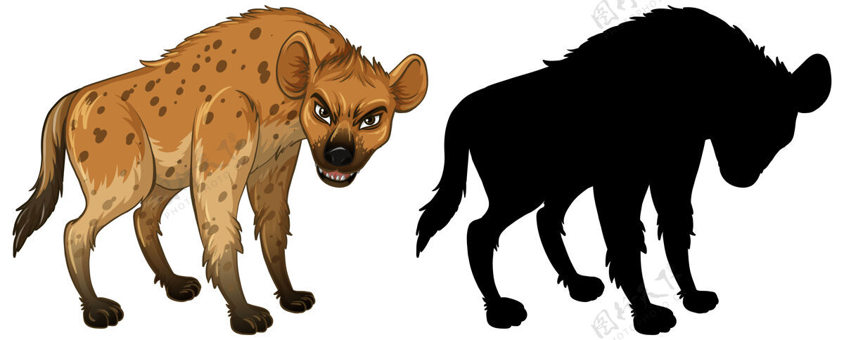 场景白色背景上的鬣狗角色和它的轮廓动物鬣狗动物