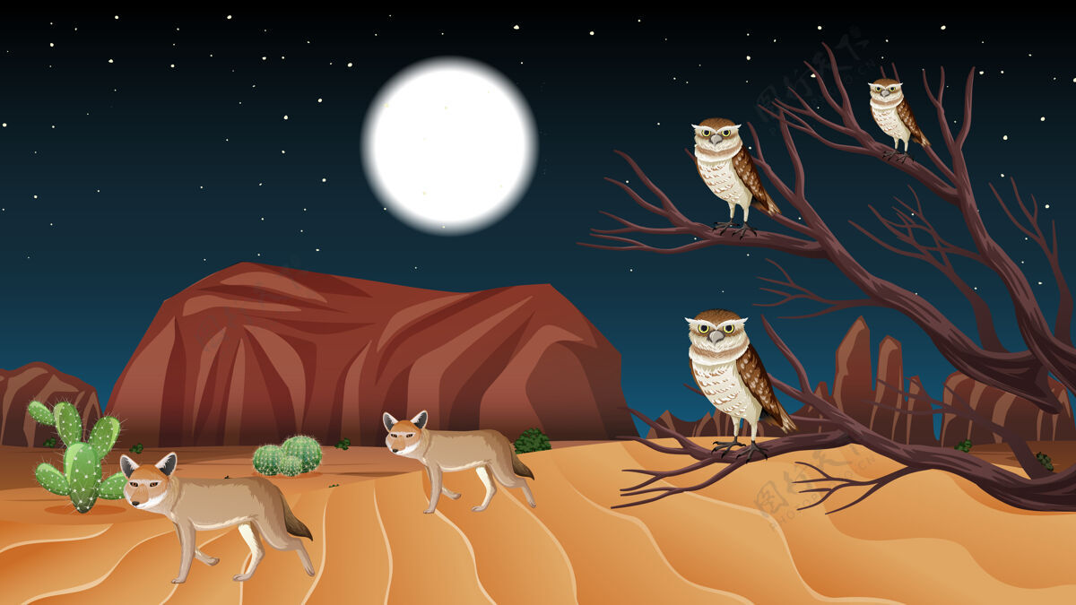 干旱夜景中的荒野景观沙漠动物沙子鸟
